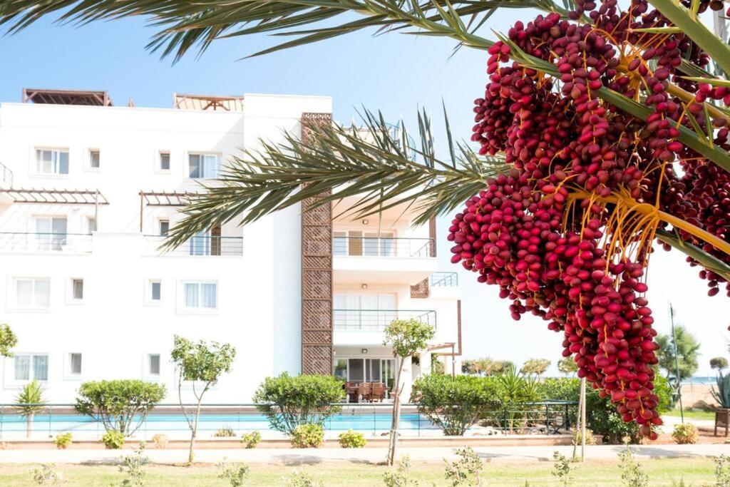 Private Beach Resort Cyprus Vokolidha Экстерьер фото